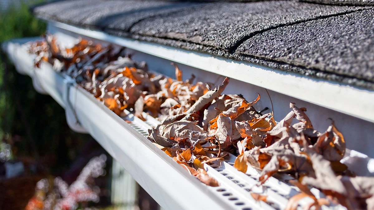 Gutter Cleaning Geelong — Cre8flow Drain Services